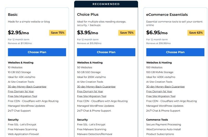 Right Website Platform or Builder - Bluehost